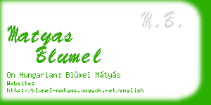 matyas blumel business card